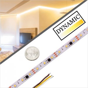 5m WS2811 CCT Digital Bicolor LED Strip Light - Horse Racing Color-Changing LED Tape Light - 12V - IP20